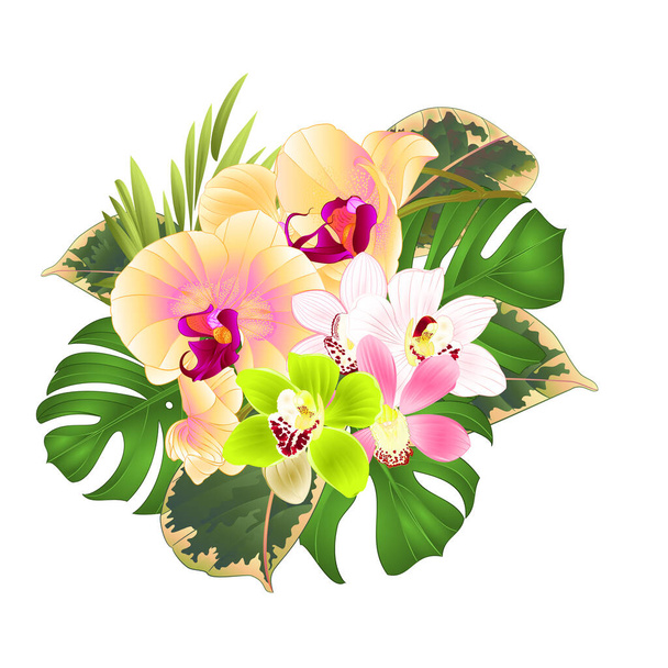 Tropical flowers yellow orchid Phalaenopsis and  cymbidium various bouquet  palm,philodendron on a white background vintage vector illustration editable hand draw - Vector, Image