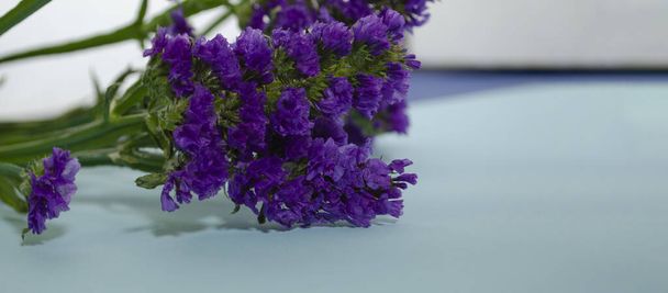 Lavanda marina de hoja de onda, Statice, Limonium. Primer plano de la flor azul. Hermosas flores silvestres
. - Foto, imagen