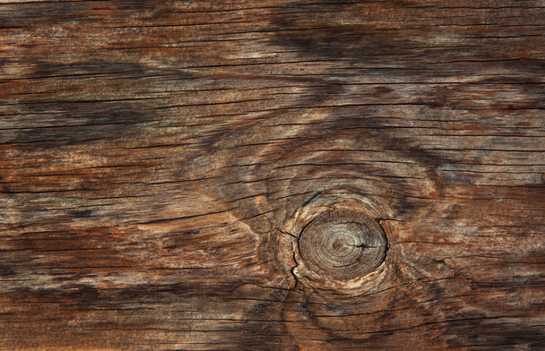 Textur des Rindenholzes als natürlicher Hintergrund - Foto, Bild