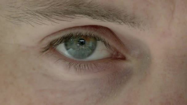 Close up of man's eyes, camera panning from one to the other. - Footage, Video