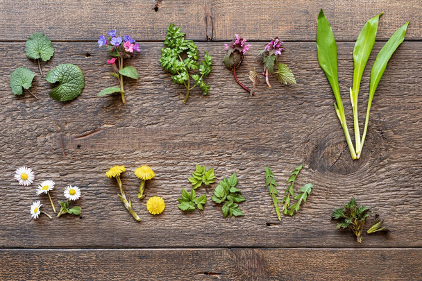 Alho selvagem, lungwort, urtiga, coltsfoot e outras ervas medicinais e plantas comestíveis selvagens coletados no início da primavera em um fundo de madeira
 - Foto, Imagem