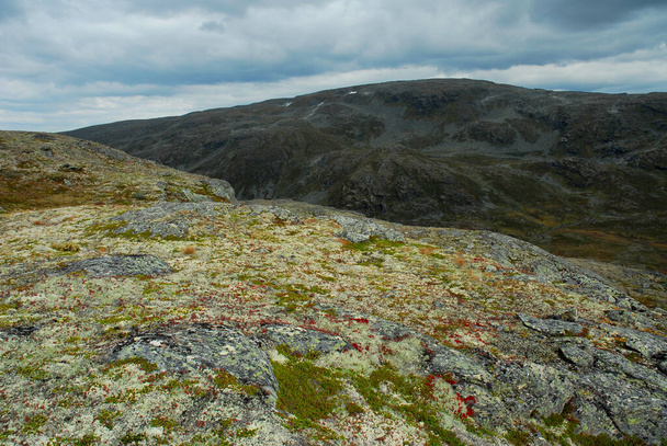 Noruega sobre la naturaleza paisaje fondo
 - Foto, Imagen