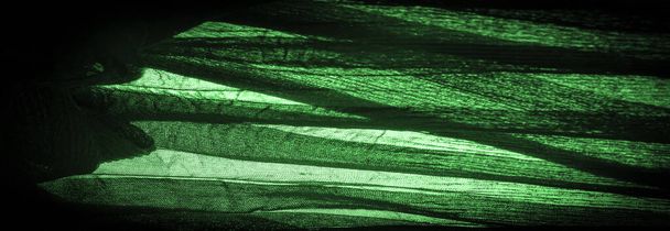 Текстура, фон, візерунок, креп глибокого зеленого кольору це тканина з шовку, вовни або синтетичних волокон з чітко ясним, обтиснутим зовнішнім виглядом
.  - Фото, зображення