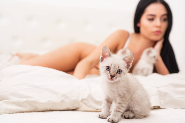 woman with perfect body enjoy time with cat. sexy lingerie model. Sexy beautiful brunette girl in underclothes with kitten. selective focus. Lady playing with cat in bed. Playful cute pet. copy spac - Valokuva, kuva