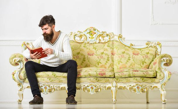 Self education concept. Man with beard and mustache sits on baroque style sofa, holds book, white wall background. Guy reading book with attention. Macho on concentrated face reading book, studying - Photo, image