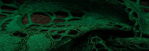 Texture, fond, motif, tissu en dentelle verte, tissu en dentelle gaufrée tendre, festonné sur les deux bords. Convient à vos projets, design, etc.. - Photo, image