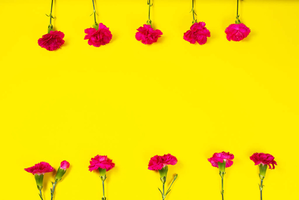 Sarı arka planda boş tebrik kartı olan pembe karanfil çiçeklerinden yapılmış bir çerçeve. Düz yerde, üst tarafta. Düğün geçmişi. Anneler Günü - Fotoğraf, Görsel