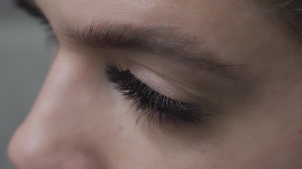 Szempilla hosszabbítási eljárás. Női szem hosszú szempillákkal. Közelről.. - Felvétel, videó