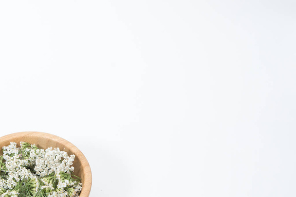 Beyaz arkaplanda Taze Yarrows çiçekleri - Fotoğraf, Görsel