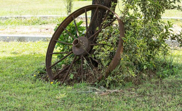Bardzo stare żeliwne koło wózka podparte drzewem - Zdjęcie, obraz