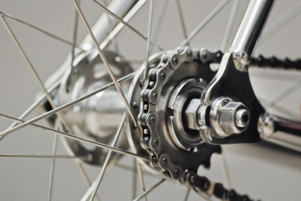 Велосипедне задні колесо з ланцюгом та паростками
 - Фото, зображення