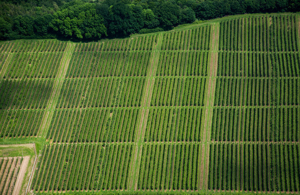 green fields in Germany, Aerial Photography  - Photo, image