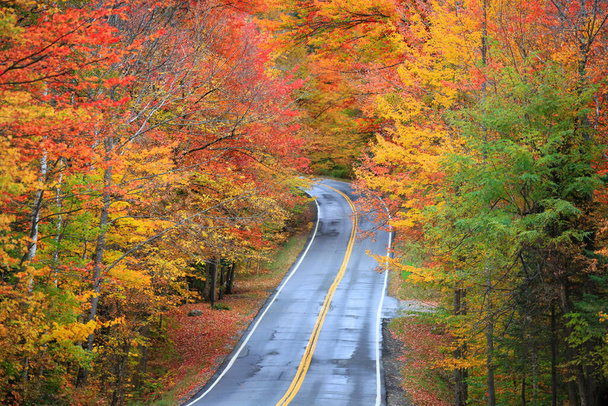 Scenic drive in rural Vermont during autumn time with bright red trees - Photo, Image