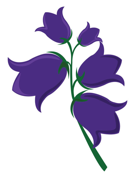 Bluebell λουλούδι, εικονογράφηση, διάνυσμα σε λευκό φόντο. - Διάνυσμα, εικόνα