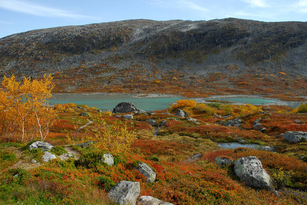 Norway on nature landscape background - Photo, image