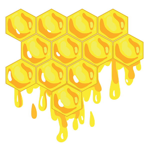 Honeycomb, εικονογράφηση, διάνυσμα σε λευκό φόντο. - Διάνυσμα, εικόνα