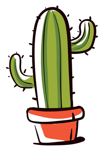 Cactus in pot, illustration, vector on white background. - Вектор,изображение