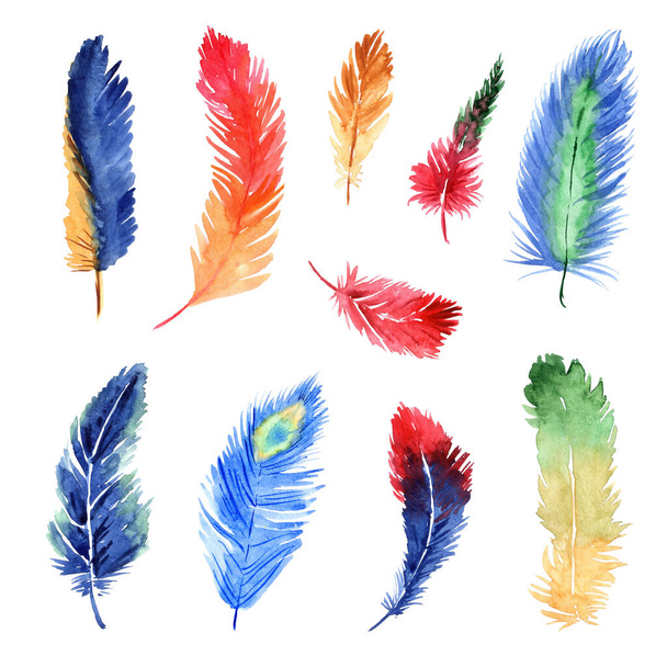 Watercolor bright tropical feathers isolated on a white background. Summer illustration - Фото, зображення