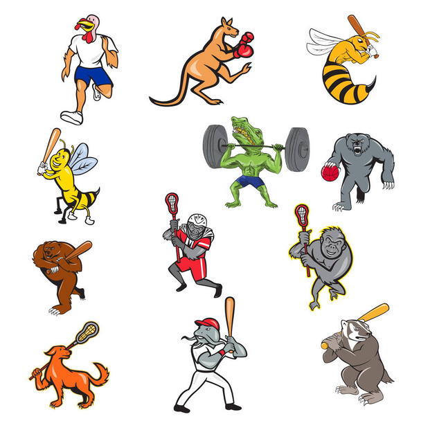 Set of collectie van stripfiguur mascotte illustratie van dieren zoals kalkoen, kangoeroe, wesp, bij, krokodil, alligator, beer, gorilla, das, hond deelnemen aan sport volledige lichaam geïsoleerde achtergrond. - Vector, afbeelding