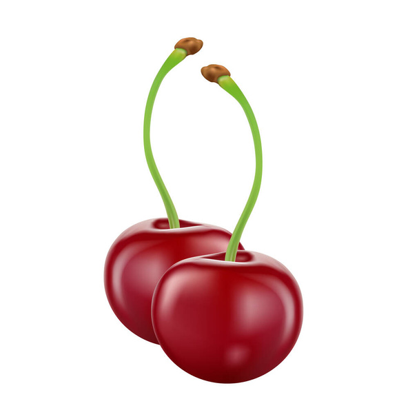 Cherry isolated on white background, vector illustration. - Vector, Image