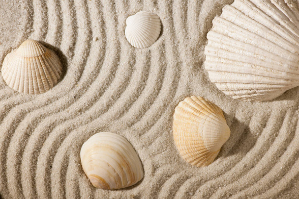 format-filling close-up of a patterned sandy area with cockles lying on it as a top view - Фото, изображение