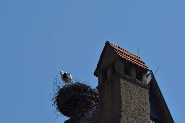 Stork's nest on the roof - Fotoğraf, Görsel