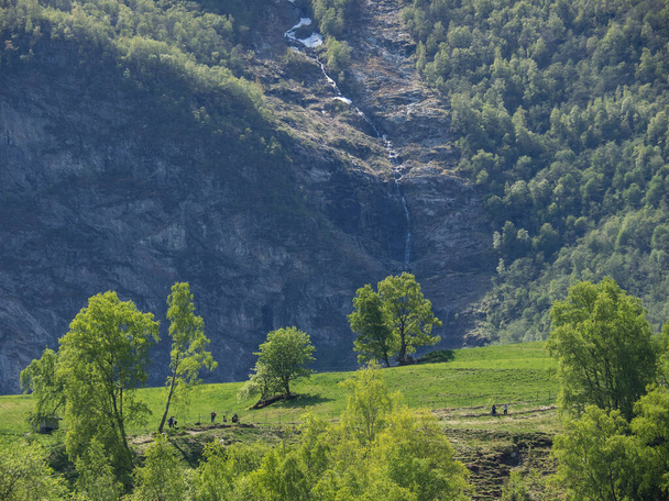 scenic view of natural landscape  - Foto, Bild