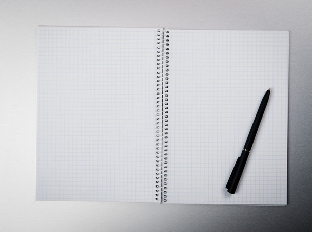 Notebook z piórem - Zdjęcie, obraz