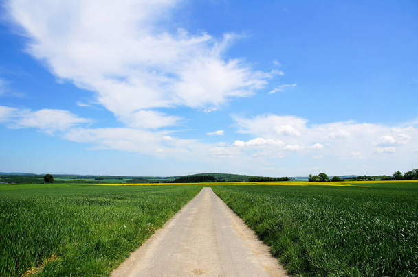 blue cloud sky over green landscape with path - Foto, imagen