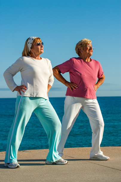 Mujeres mayores haciendo ejercicio al aire libre
. - Foto, imagen