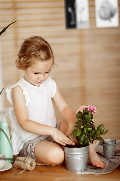 little girl transplanting indoor flowers into pot - Zdjęcie, obraz
