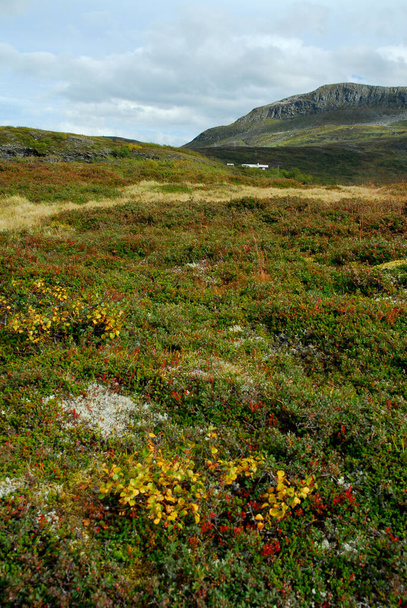 Norway,Fjord Norway,Vikafjell - Foto, imagen