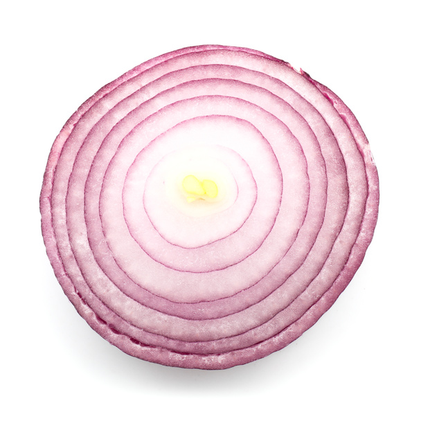Fresh raw onion on white background - Foto, Bild