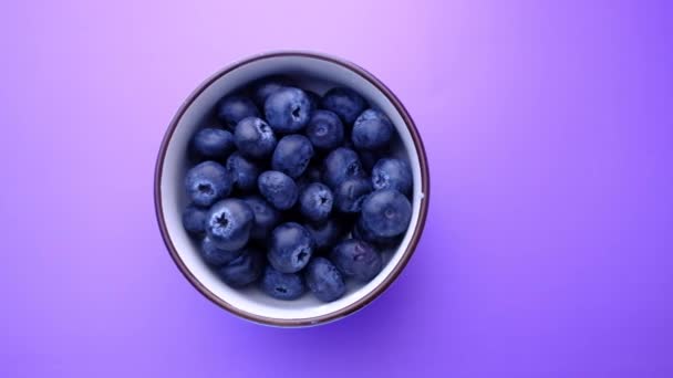 top view of blue berry in a bowl on purple background  - Záběry, video