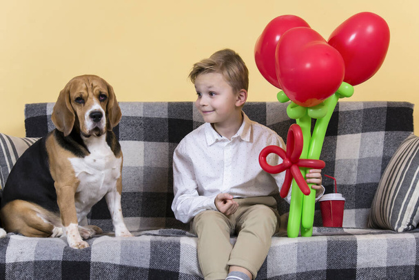 cute boy holding a bunch of heart-shaped balloons and a funny beagle dog on the sofa - Фото, зображення