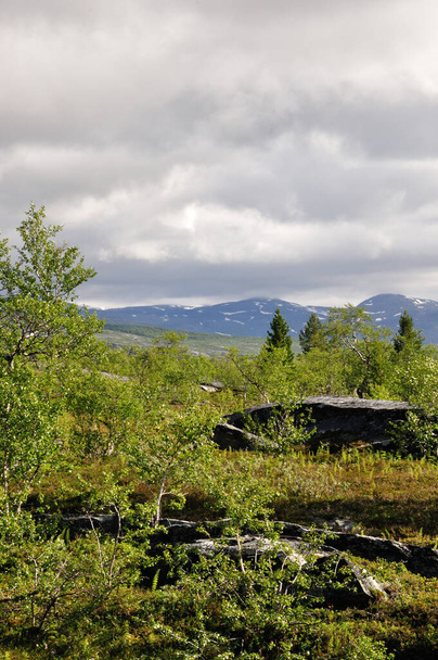 The Saltfjellet-Svartisen National Park in Norway offers a wild romantic landscape for hiking and relaxing. Here we are near the railway station Loensdal. - Foto, Imagem