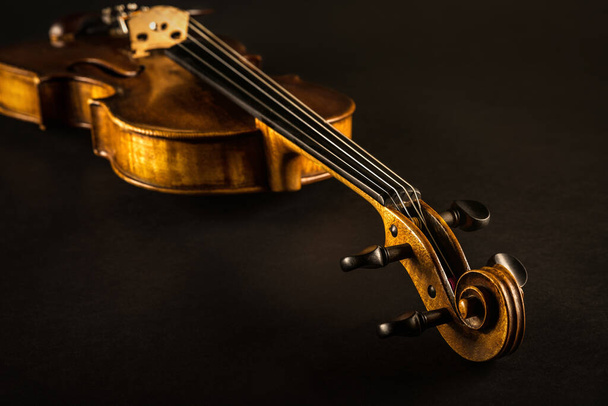 close up of a violin - Foto, imagen