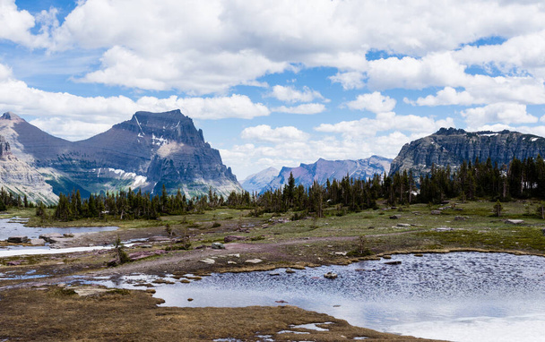 アメリカ、グレイシャー国立公園のハイドレイクトレイル沿いの高山風景 - 写真・画像