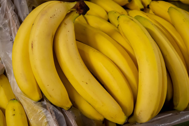 Natural bananas without strong retouching. Lots of bananas in the field - Photo, Image