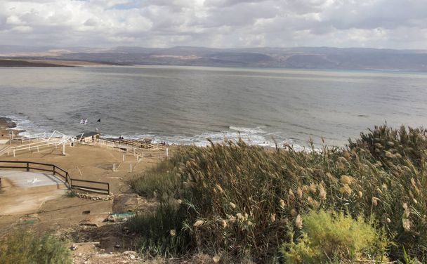 fragment of the shore of the Dead Sea in Israel - Foto, imagen