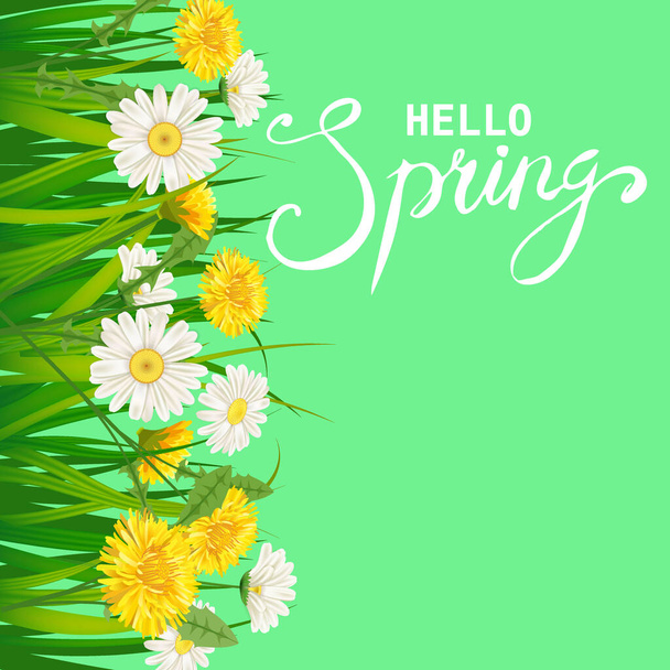 Hello Spring lettering template background with flowers dandelions and daisies, chamomiles, grass. Vector illustration. Fresh design for posters, flyers, greeting card, invitation - Vector, Imagen