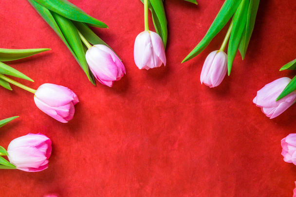 rosa Tulpenblütenrahmen mit Kopierraum, flache Lage, Draufsicht. Frühjahrsferienkonzept - Foto, Bild
