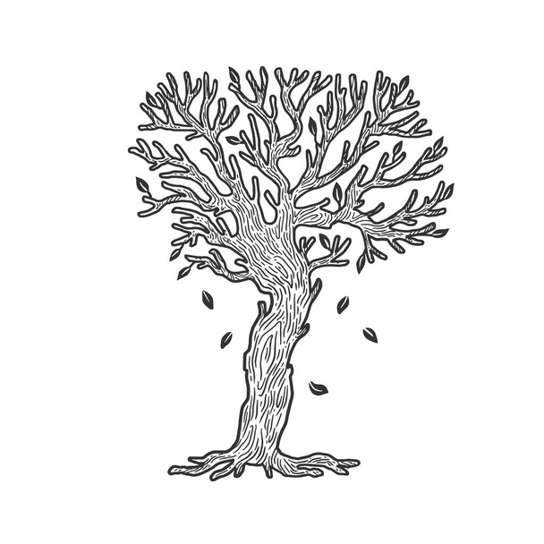 tree without leaves sketch engraving vector illustration. T-shirt apparel print design. Scratch board imitation. Black and white hand drawn image. - Vektör, Görsel