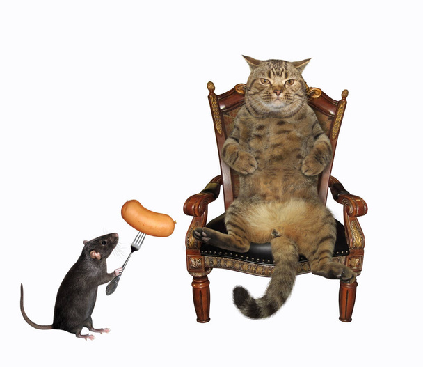 Die beige Katze sitzt im antiken Holzsessel. Die schwarze Ratte füttert ihn mit einer Wurst auf einer Gabel. Weißer Hintergrund. Isoliert. - Foto, Bild