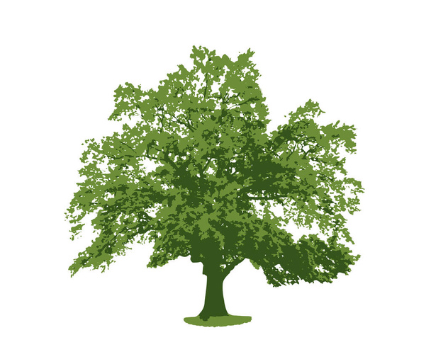 green tree isolated. vector illustration - ベクター画像