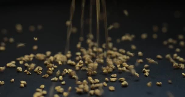 Gold mining, sprinkle fraction of rare metal - Materiał filmowy, wideo