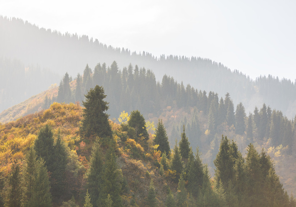 Misty perspective in autumn mountains - Photo, Image