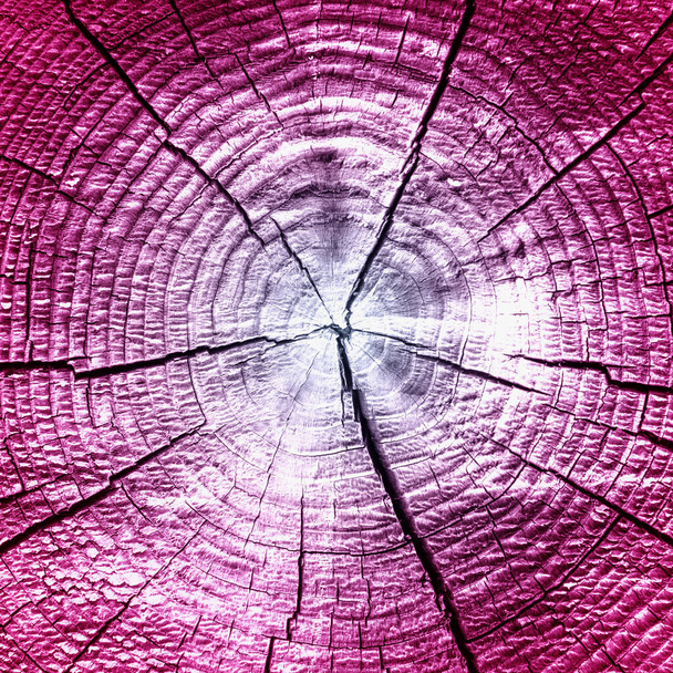 Régi rönk vágott éves gyűrűk szivárvány színű - Fotó, kép