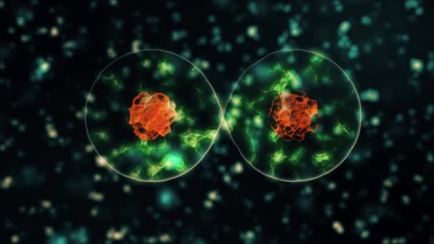 Virus coronavirus 2019-nCoV infectie visualisatie. Pathogeen cellen in besmette mensen getoond als neon groene bolvormige micro-organismen op een zwarte achtergrond. Geanimeerde 3d rendering close-up 4K video. - Video