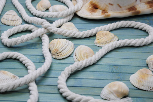 Bild im maritimen Stil, Urlaub, Meer, Ozean, Urlaub mit was für einer weißen Gabel und kleinen Muscheln auf türkisfarbenem Deck - Foto, Bild